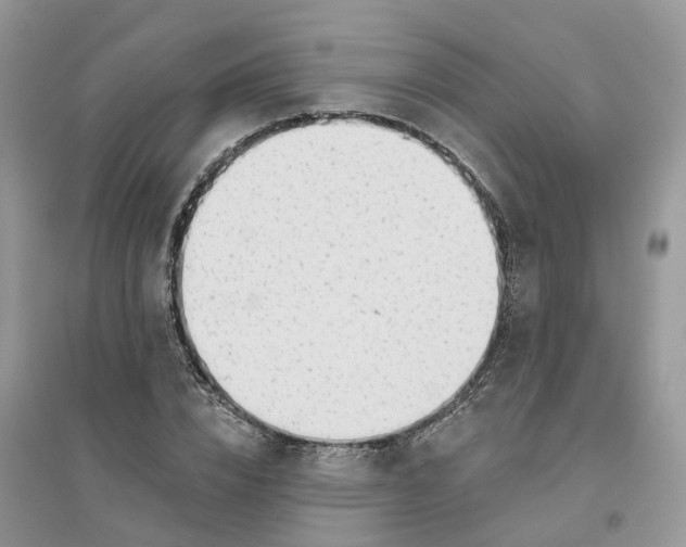 X0000096170832200802011316