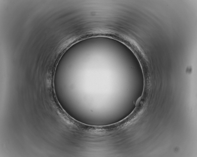 X0000096170833200802011316