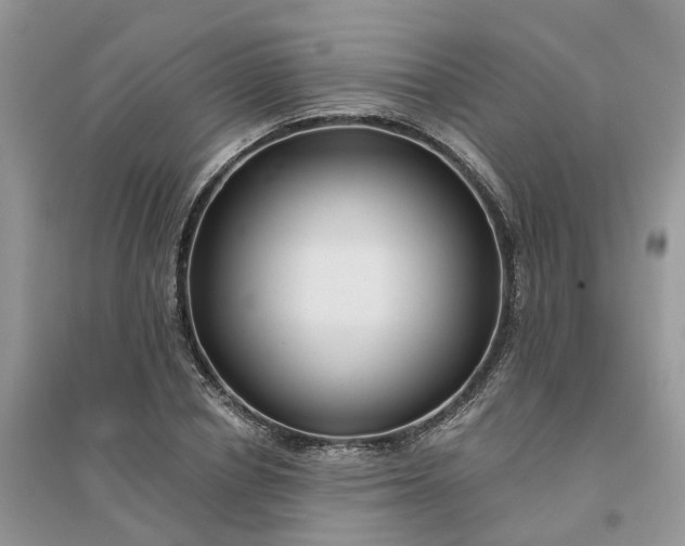 X0000096170834200802011316