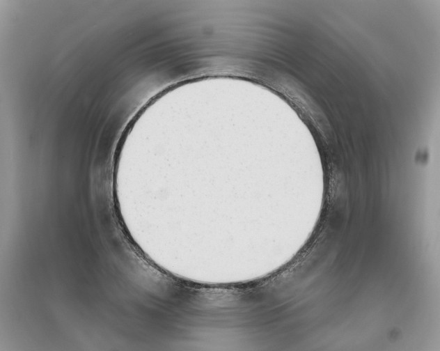 X0000096170836200802011316