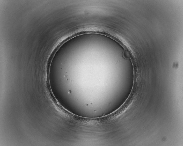 X0000096170837200802011316