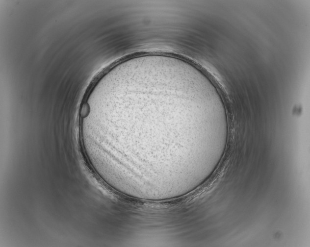 X0000096170840200802011316