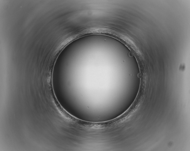 X0000096170841200802011316