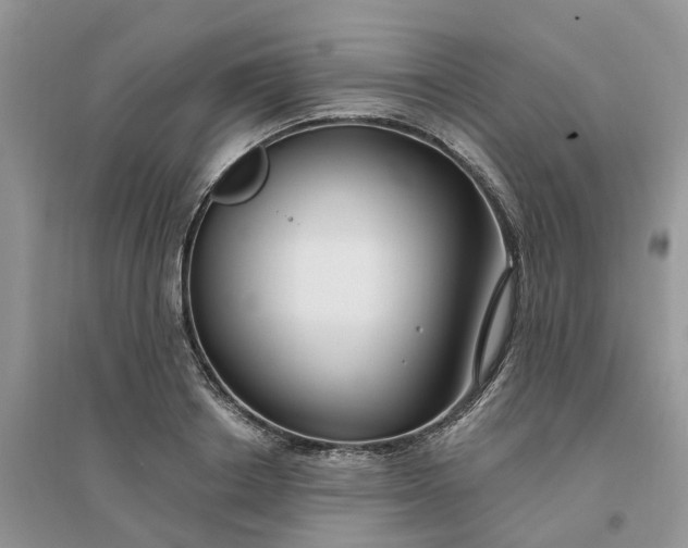 X0000096170842200802011316