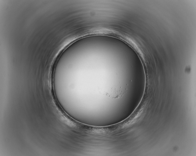 X0000096170843200802011317