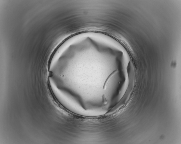 X0000096170844200802011317