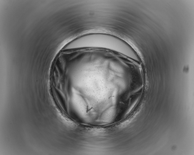 X0000096170845200802011317