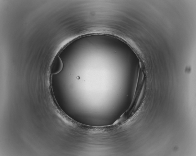 X0000096170846200802011317