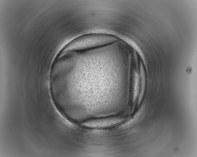 X0000096170847200802011317