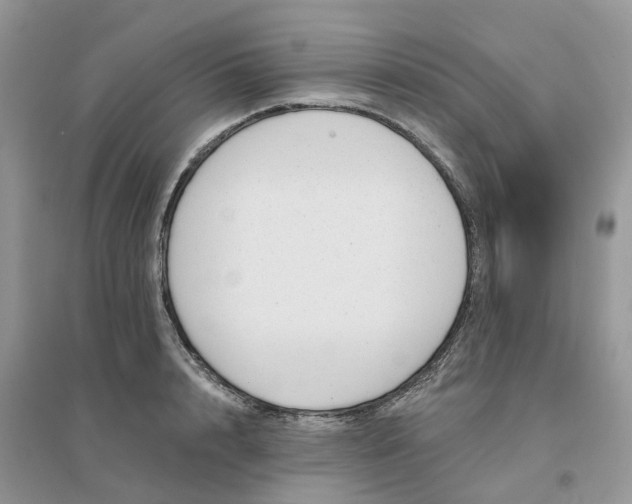 X0000096170848200802011317