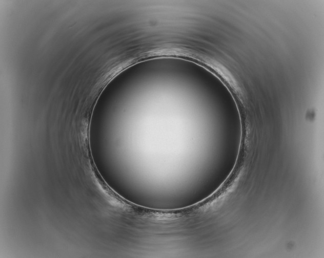 X0000096170849200802011317