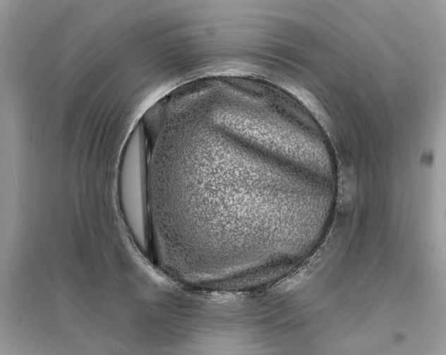 X0000096170850200802011317