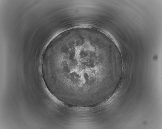 X0000096170851200802011317