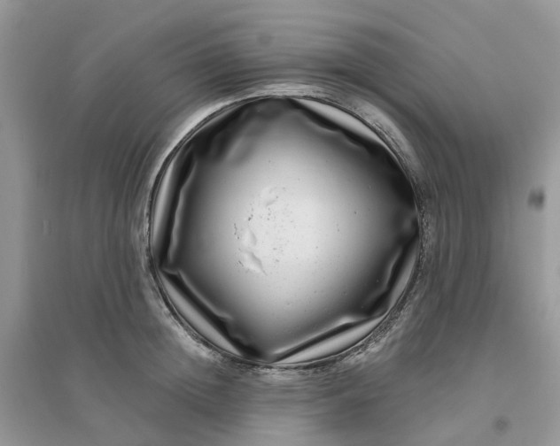 X0000096170852200802011317