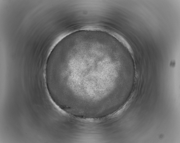 X0000096170855200802011317