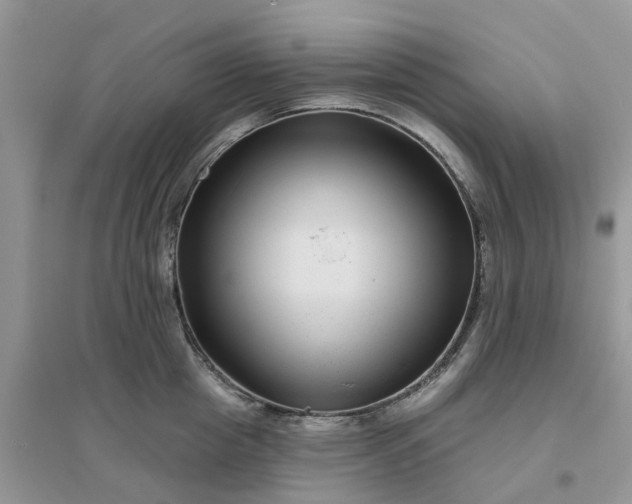 X0000096170857200802011317