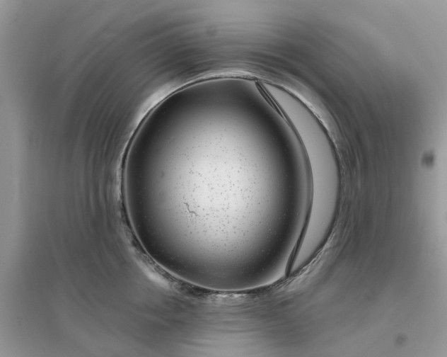 X0000096170858200802011317