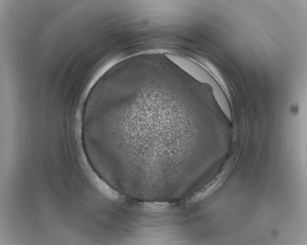 X0000096170859200802011317