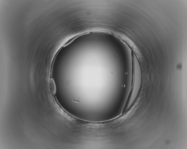 X0000096170860200802011317