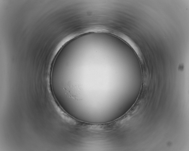 X0000096170861200802011317