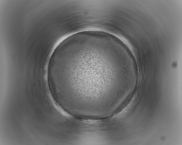 X0000096170862200802011317