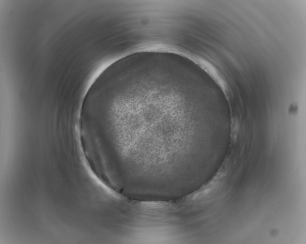 X0000096170863200802011317