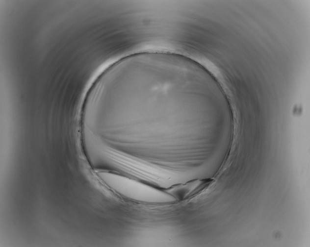 X0000096170864200802011317