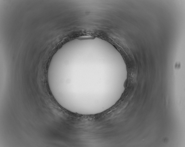 X0000096170865200802011316