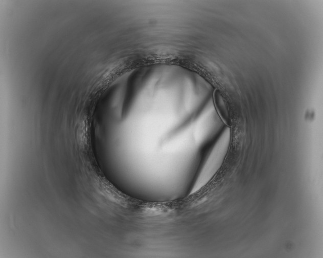 X0000096170866200802011316