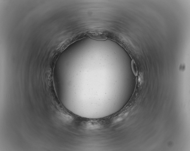 X0000096170867200802011316