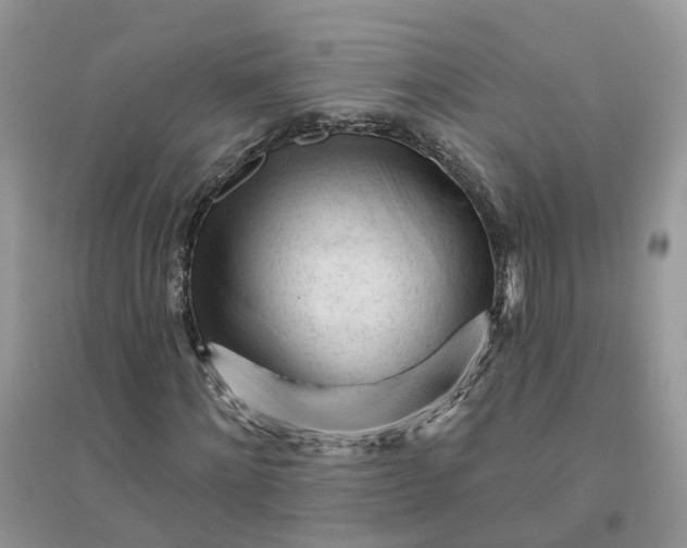 X0000096170868200802011316