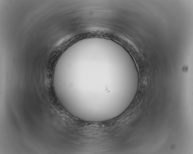 X0000096170869200802011316