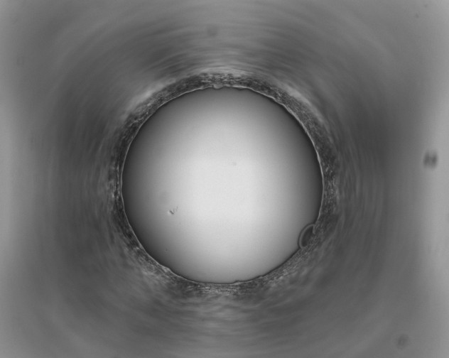 X0000096170870200802011316