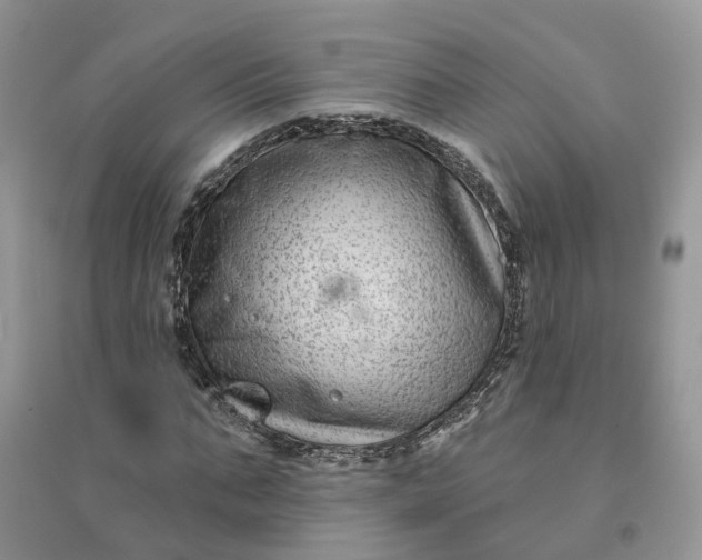 X0000096170871200802011316