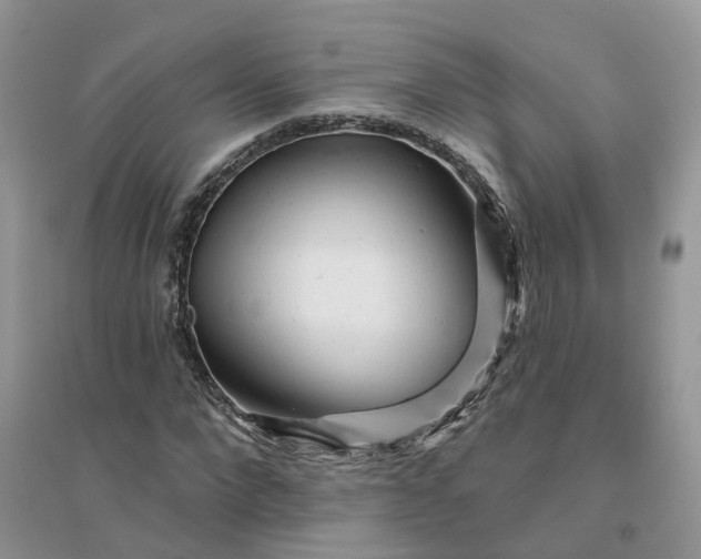 X0000096170872200802011316