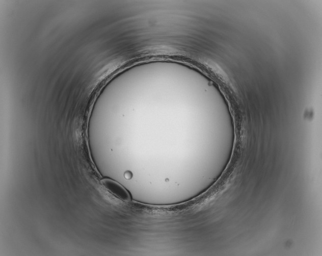 X0000096170873200802011316