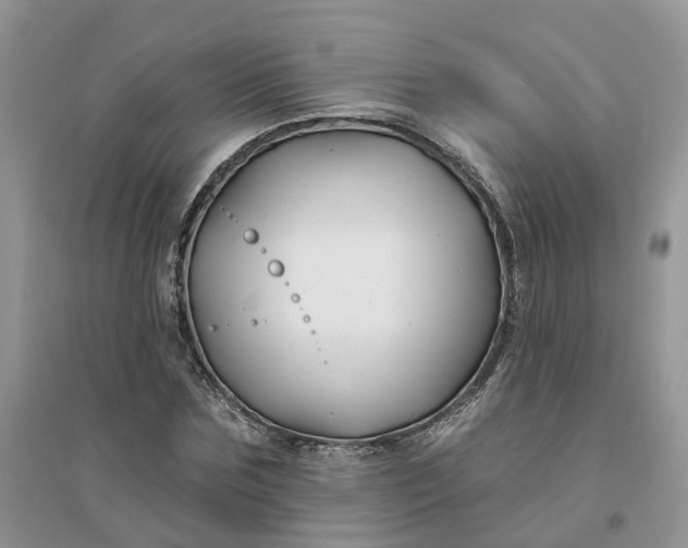 X0000096170875200802011316