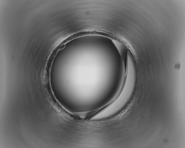 X0000096170876200802011316