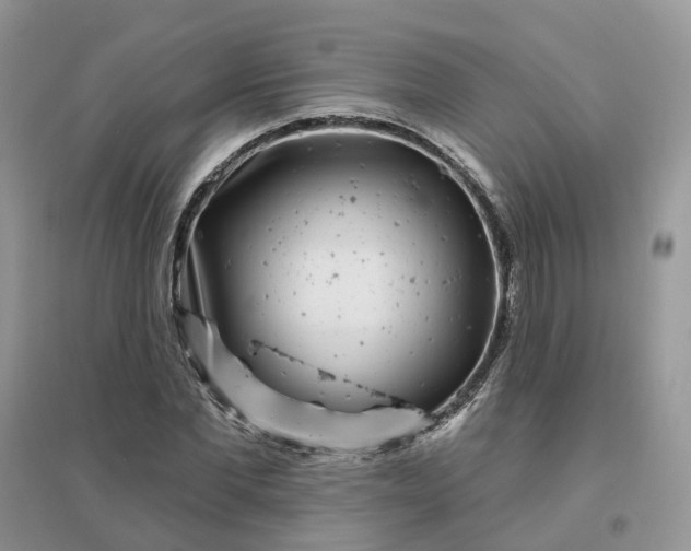 X0000096170877200802011316