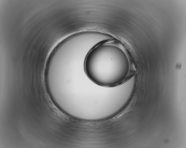 X0000096170880200802011316