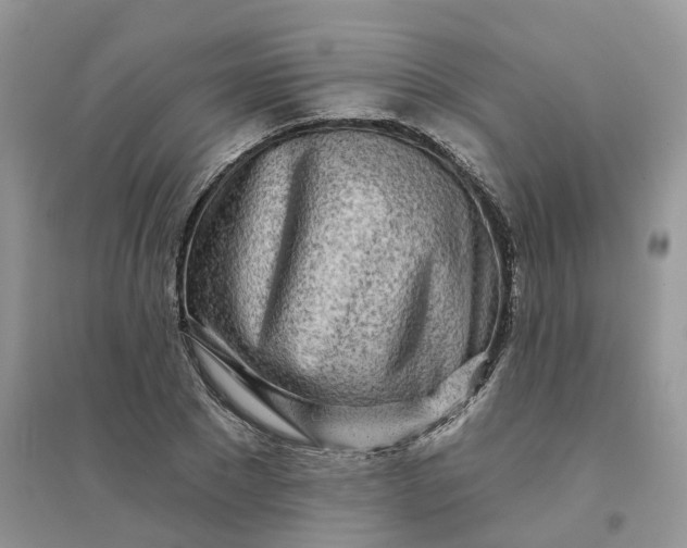 X0000096170881200802011316