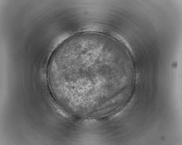 X0000096170882200802011316