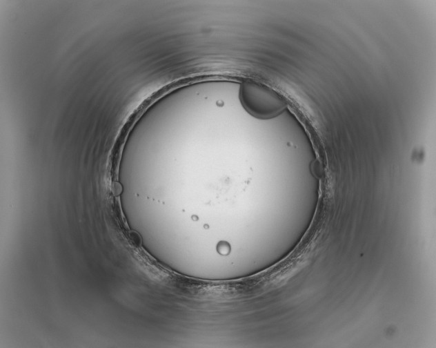 X0000096170883200802011316