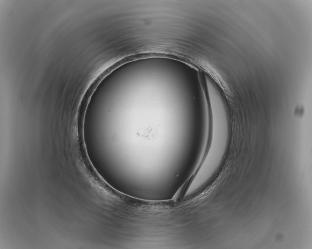 X0000096170884200802011316