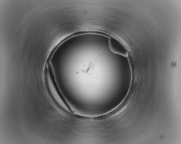 X0000096170885200802011316