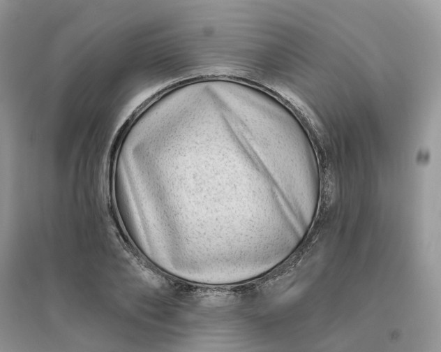 X0000096170886200802011316