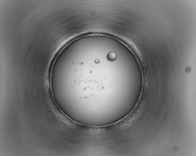 X0000096170887200802011316