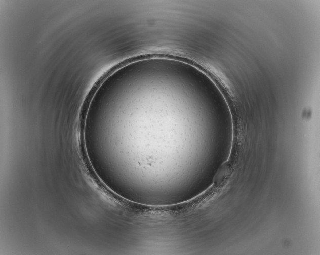 X0000096170888200802011316