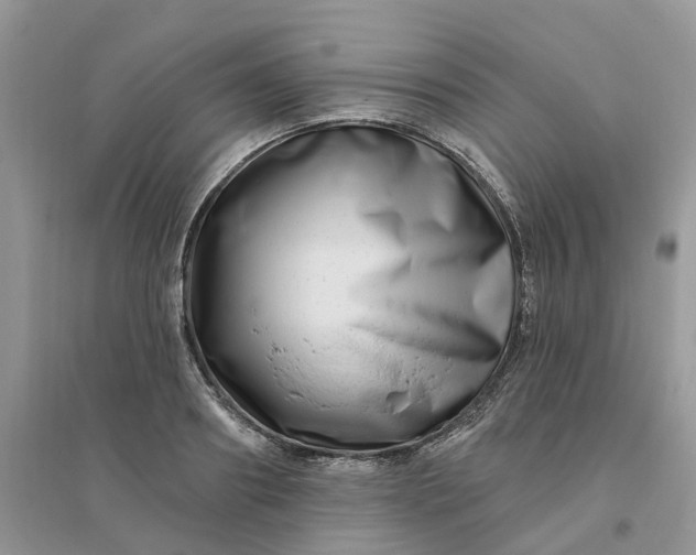 X0000096170890200802011316