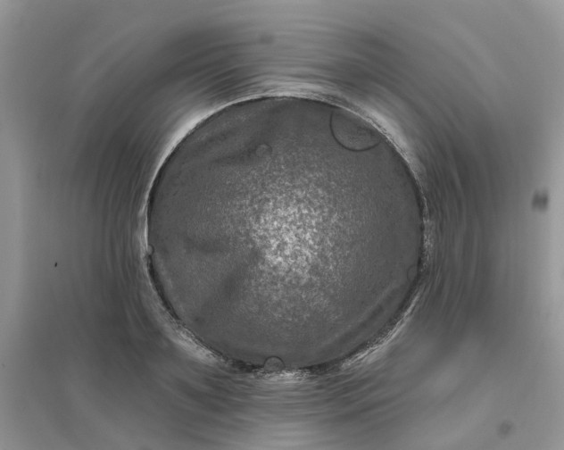 X0000096170891200802011316